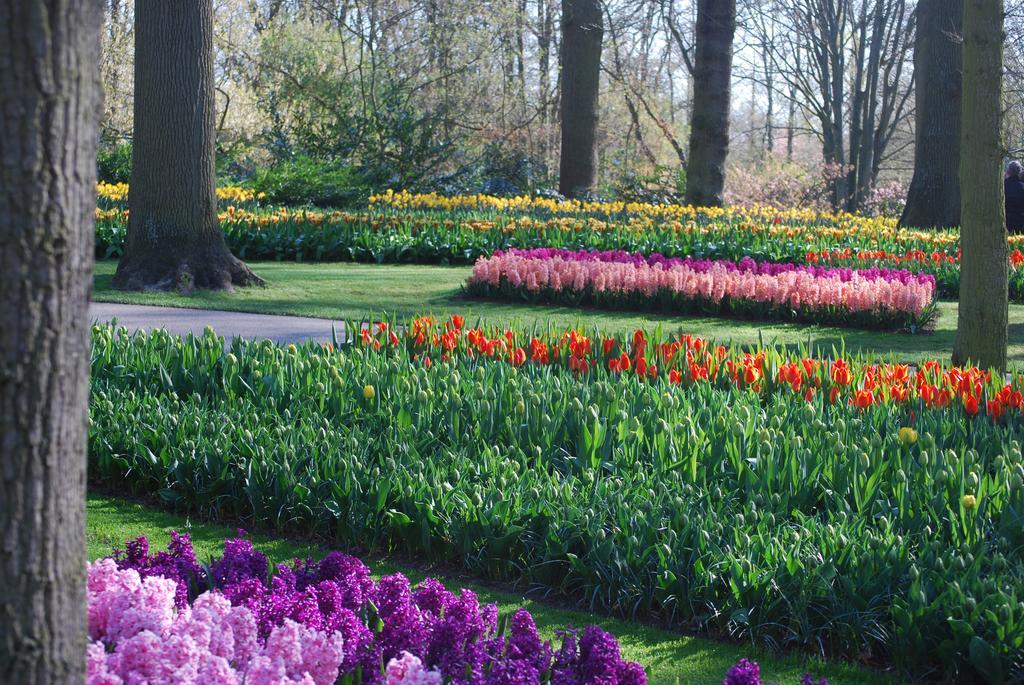 Vakantiepark Delftse Hout Dış mekan fotoğraf